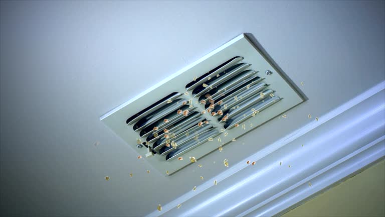 Best Air Vent Cleaning Services  in Landen, OH